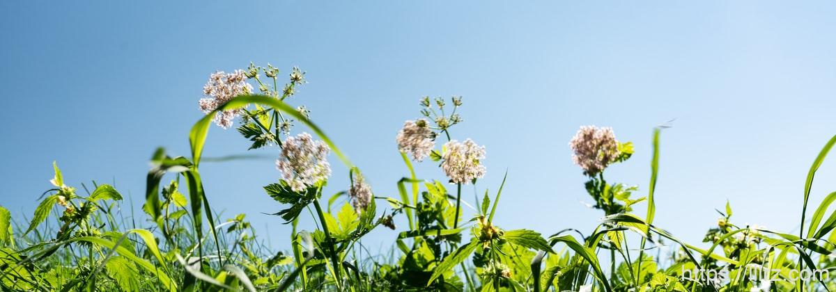 你知道,就算大雨让这座城市颠倒